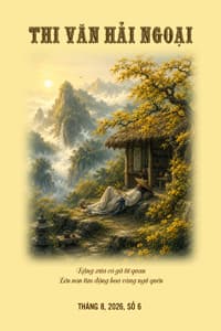 THI VĂN HẢI NGOẠI TUYỂN TẬP 6