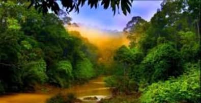 Gởi Nhớ Về Nhau