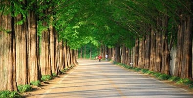 TRẢ LẠI MÙA YÊU