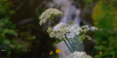 Gửi Niềm Nhớ Về Nhau